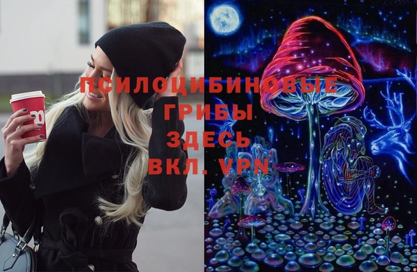 спайс Аркадак