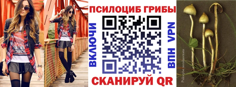 Галлюциногенные грибы ЛСД  OMG сайт  Родники 